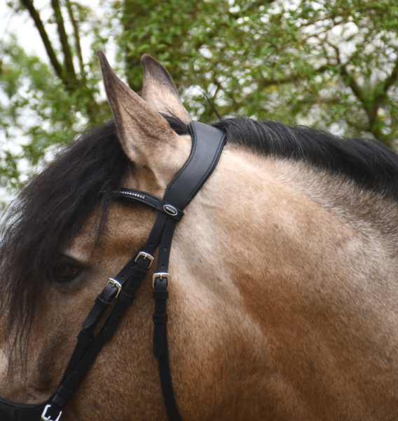 Heritage -  Saddlery Anatomical Flash Bridle